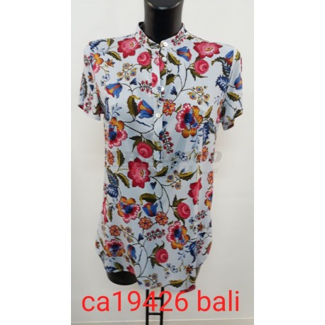 04619_ CA19426 BALI