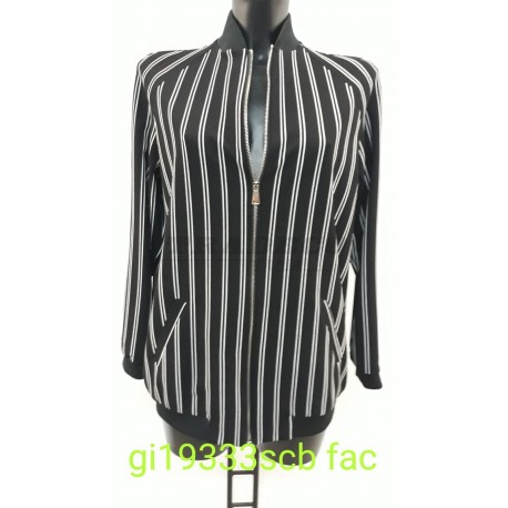 04619_GI 19333 SCB FAC