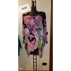 04419_CLIO