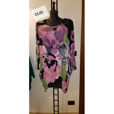 04419_CLIO